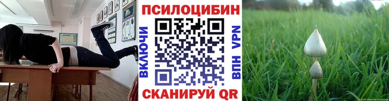 KRAKEN ТОР  Видное  Псилоцибиновые грибы Magic Shrooms  наркошоп 