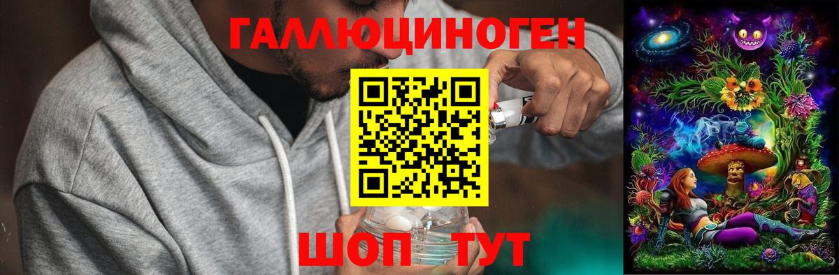 Галлюциногенные грибы Cubensis Видное